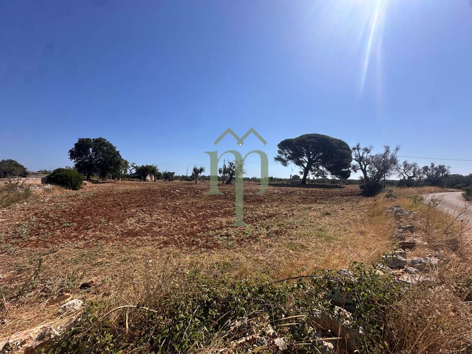 Ruin i Carovigno, Brindisi - bilde 4